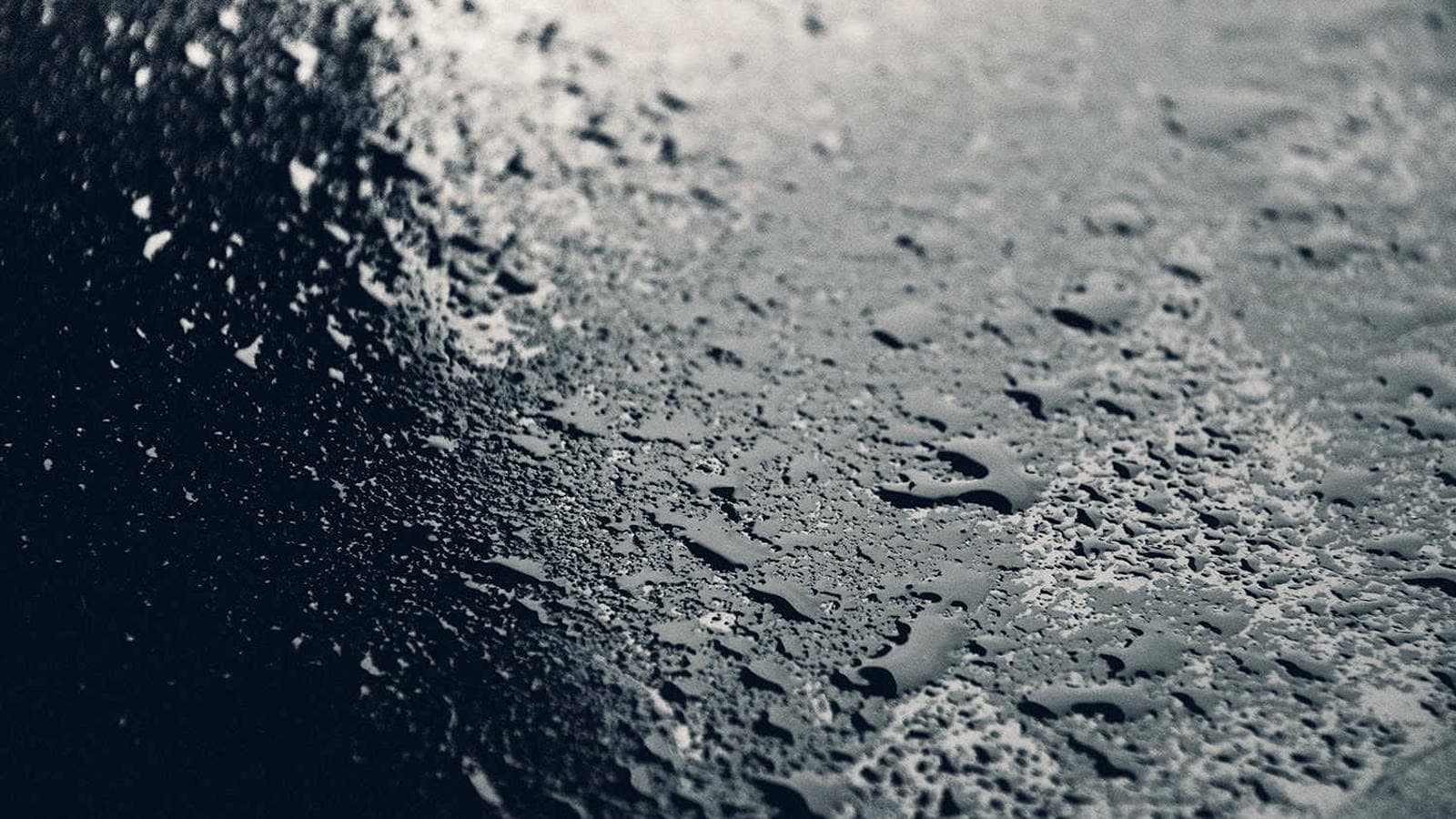Still from Monsoon Inventory